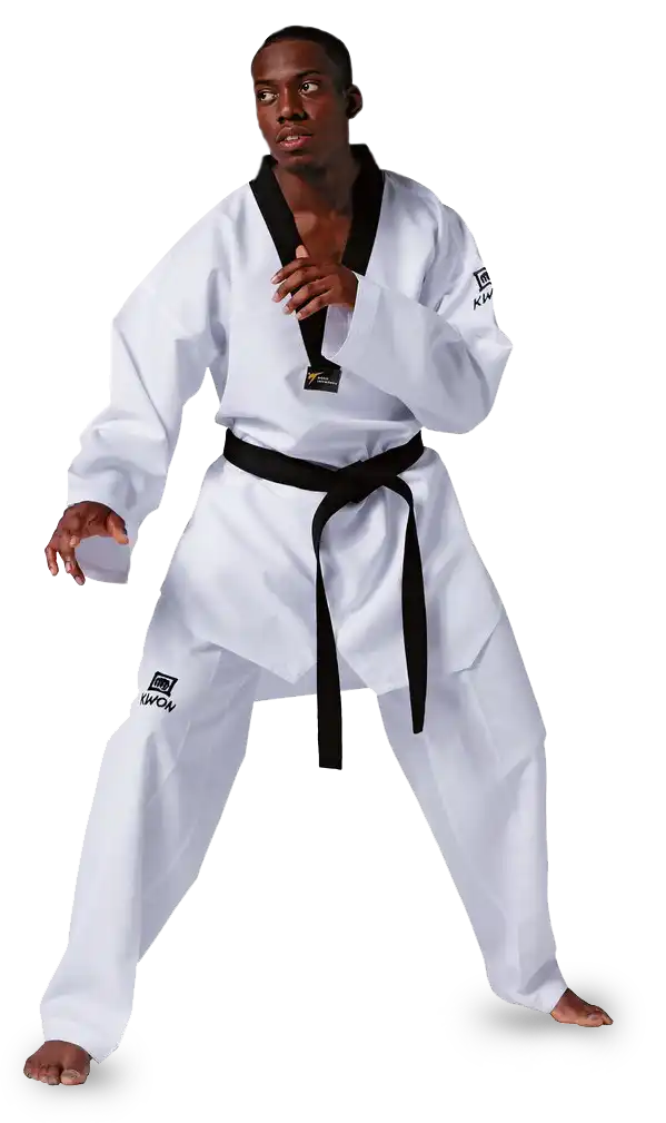 taekwondo adulte orly